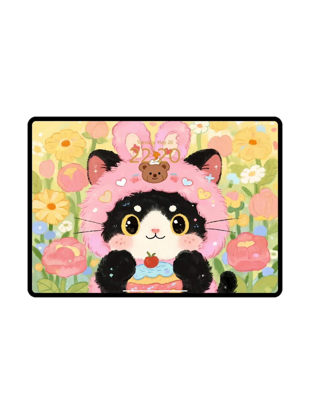壁纸分享 | 熊熊和猫猫iPad壁纸