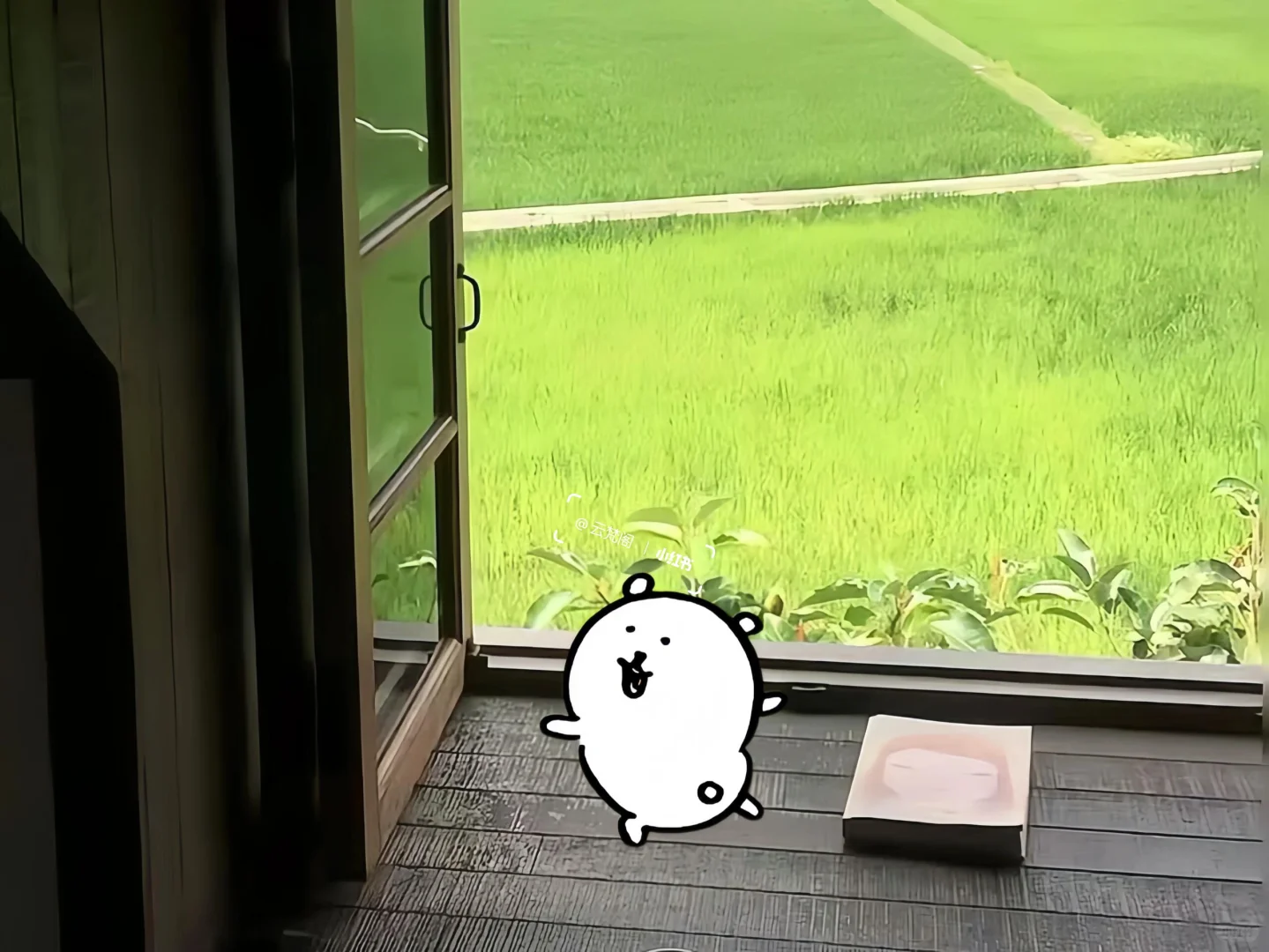ipad平板壁纸分享～