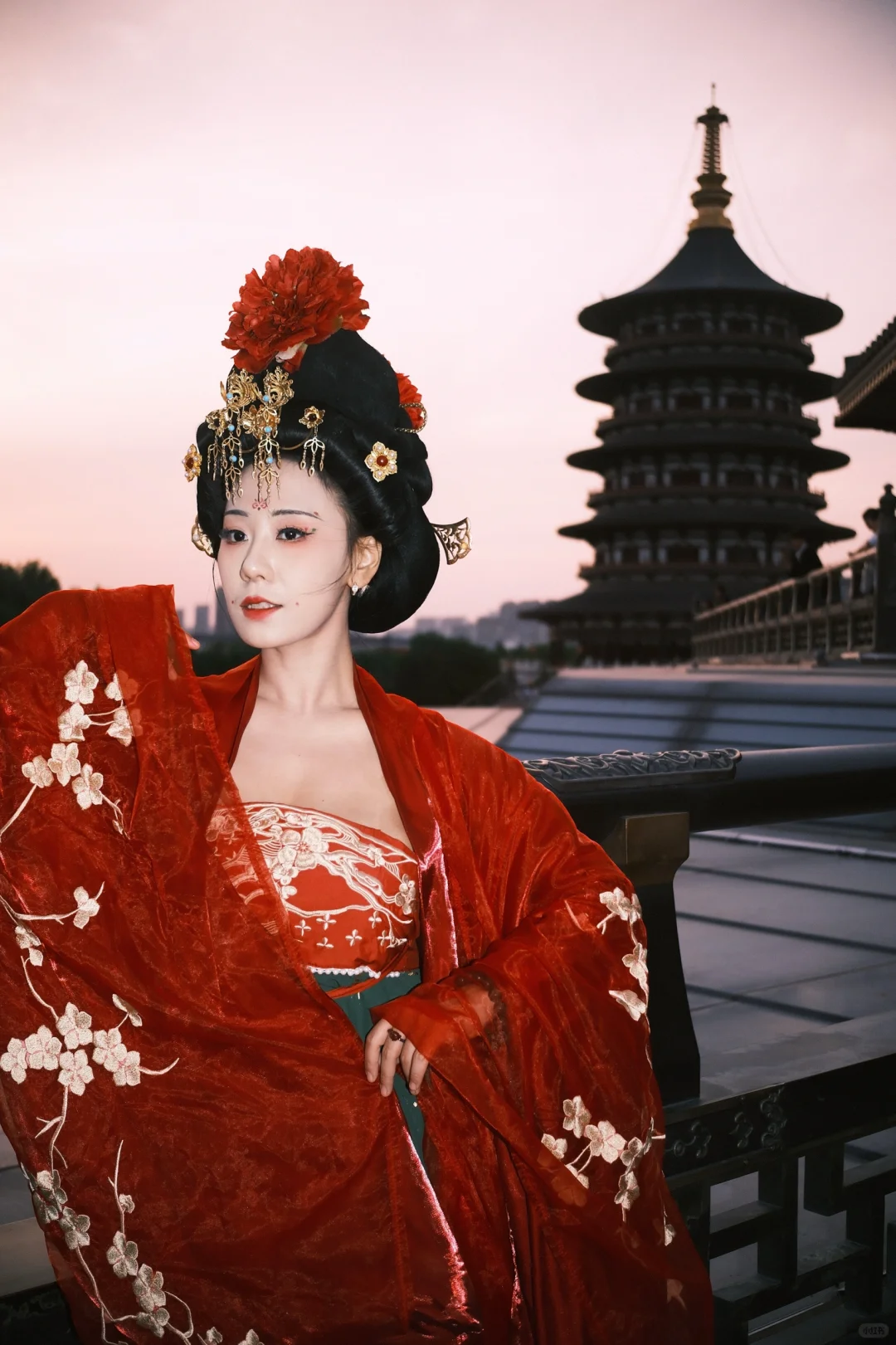洛阳旅行|唐朝簪花仕女图走出画卷🥀