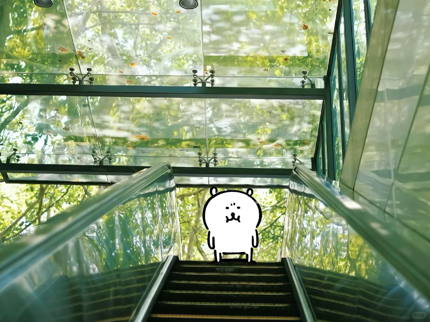 ipad平板壁纸分享～