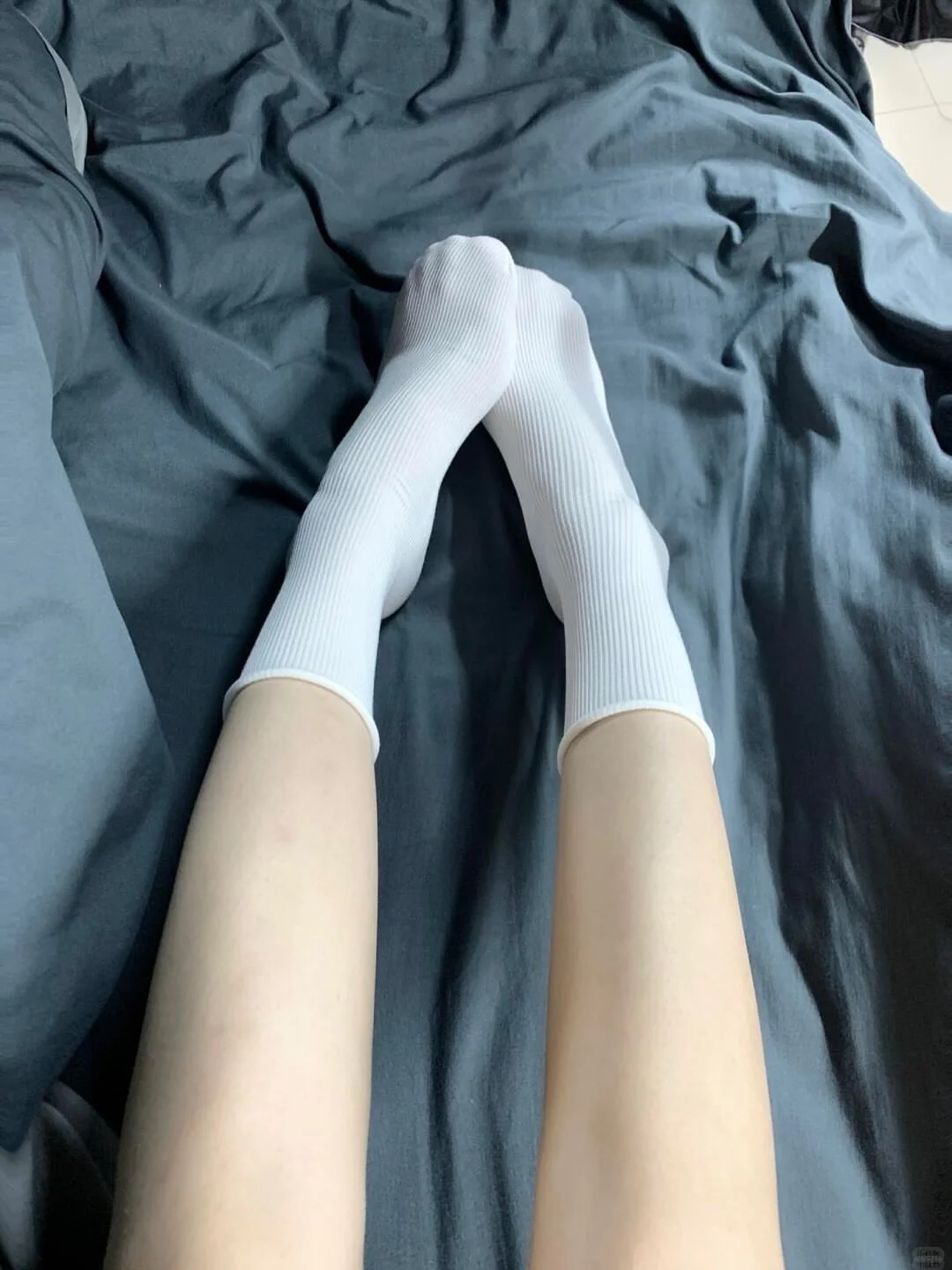 今日份袜子