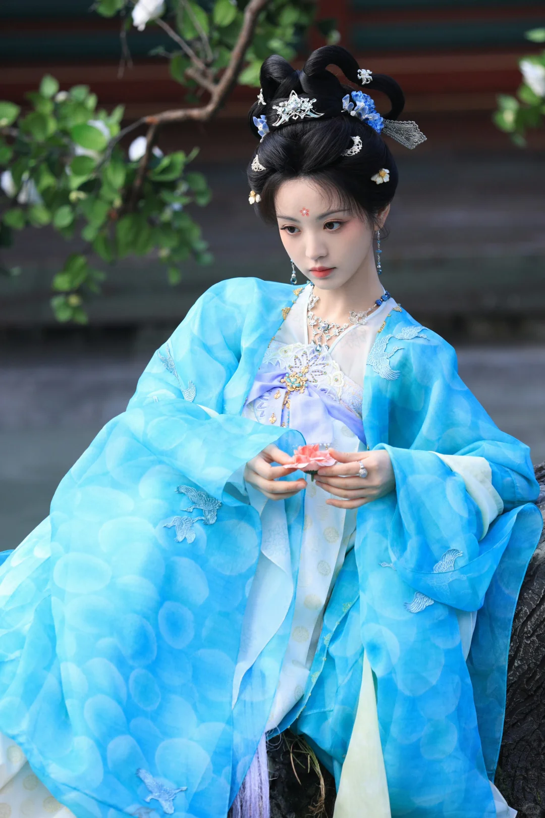 武祯的衣柜1～15套｜高清版