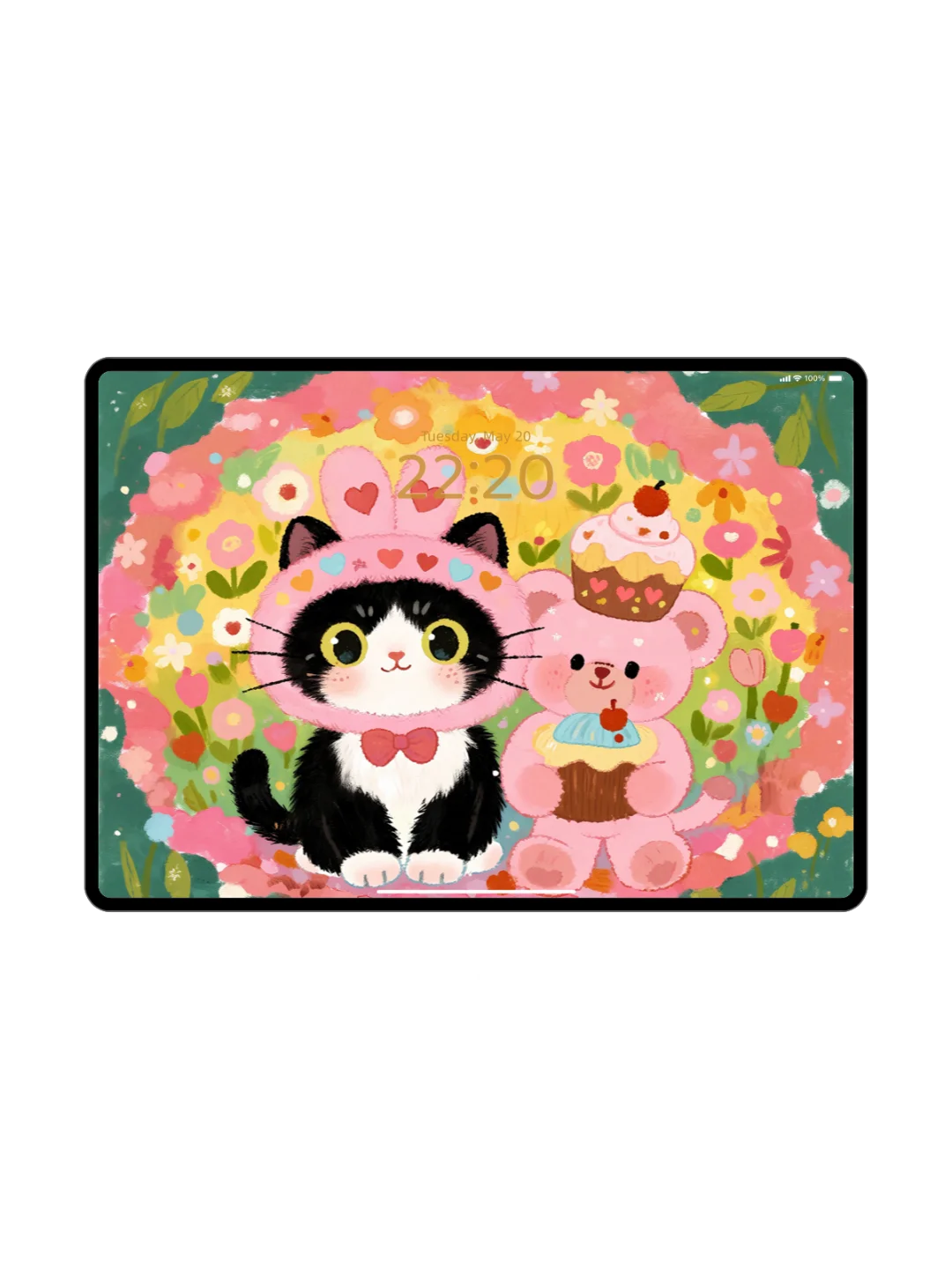 壁纸分享 | 熊熊和猫猫iPad壁纸