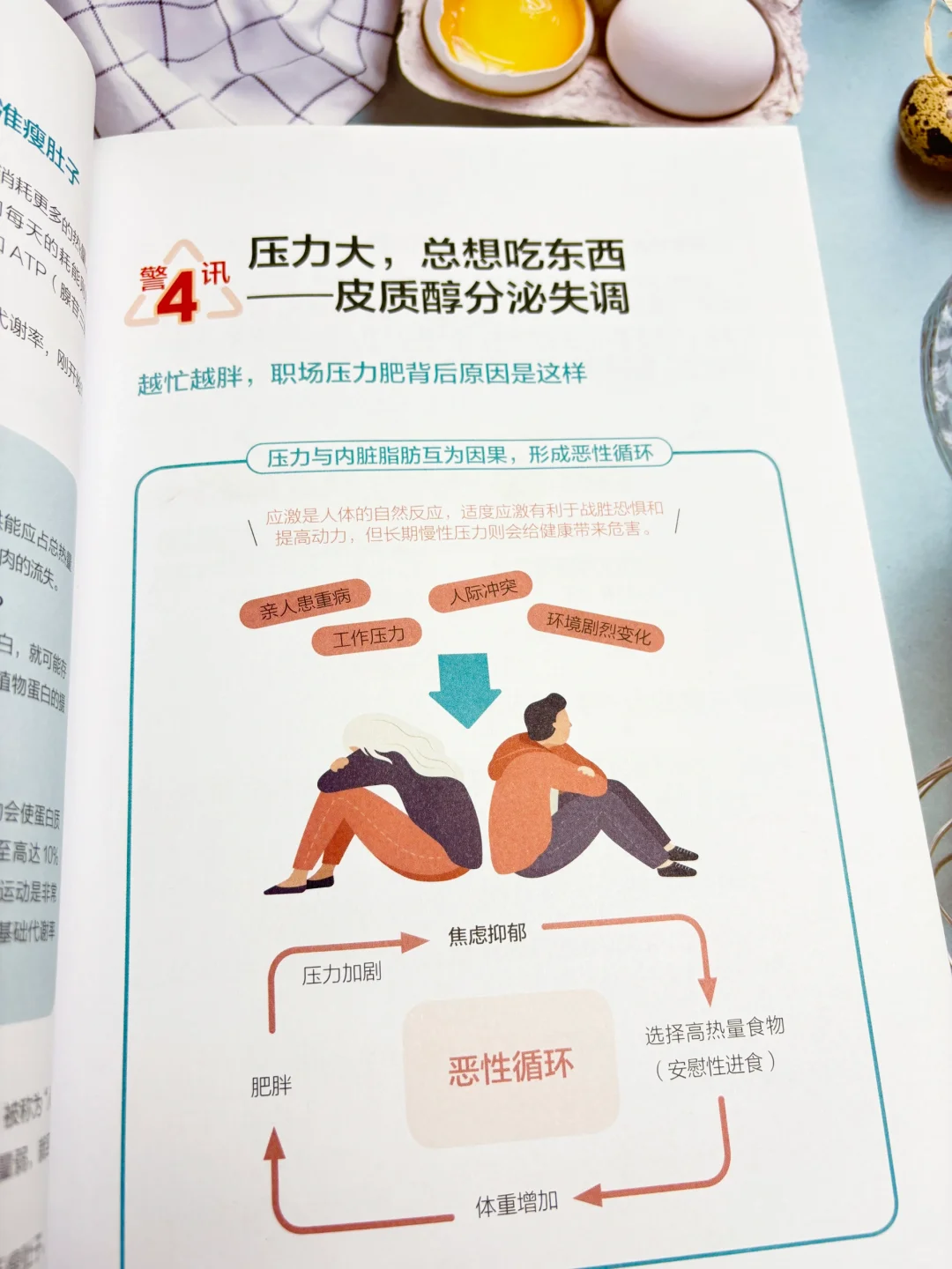 减脂期三餐怎么吃？这篇直接抄作业‼️