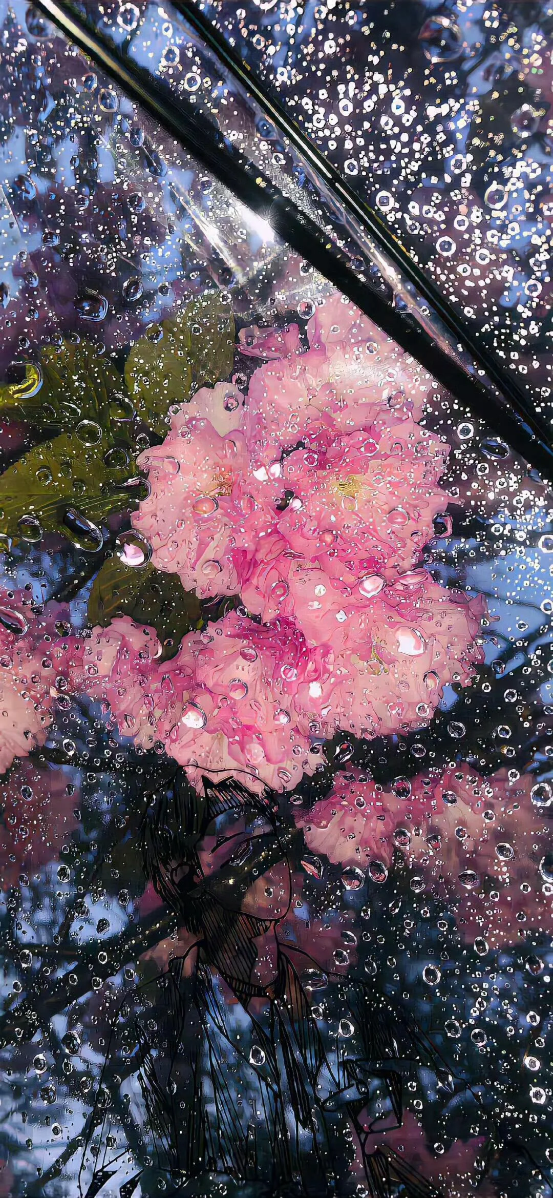 谁会拒绝樱花树呢？！🌸