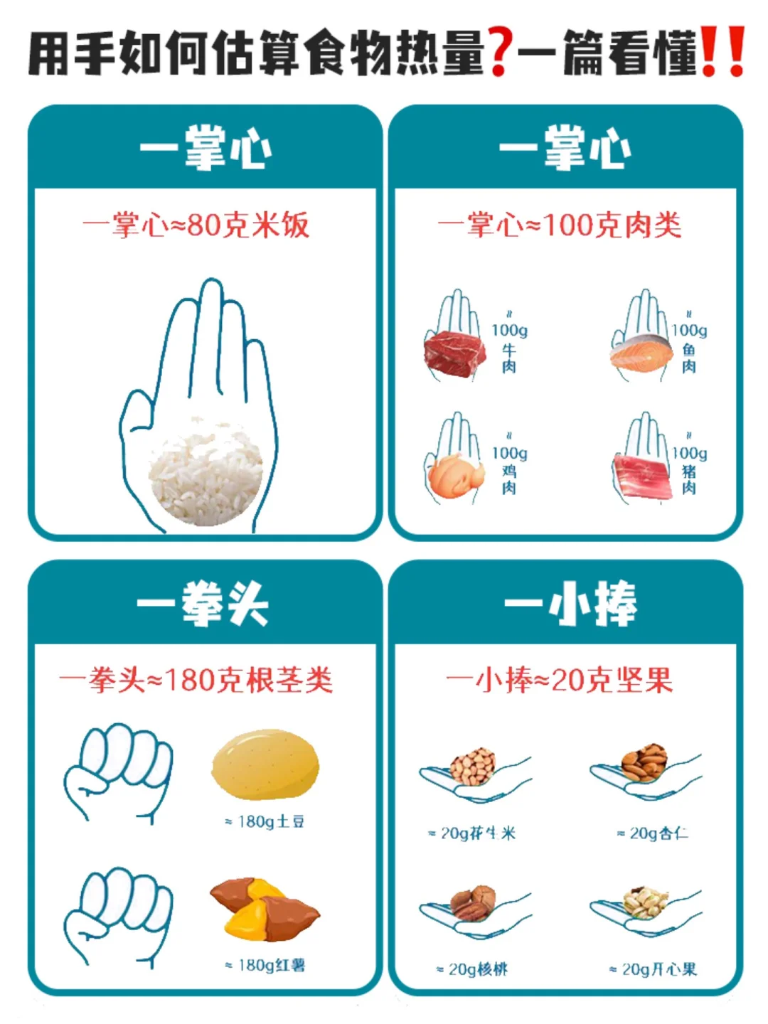 如何用手估算食物热量❓一篇看懂✅