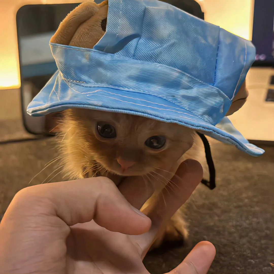 |@𝐓𝐮𝐭𝐭𝐢