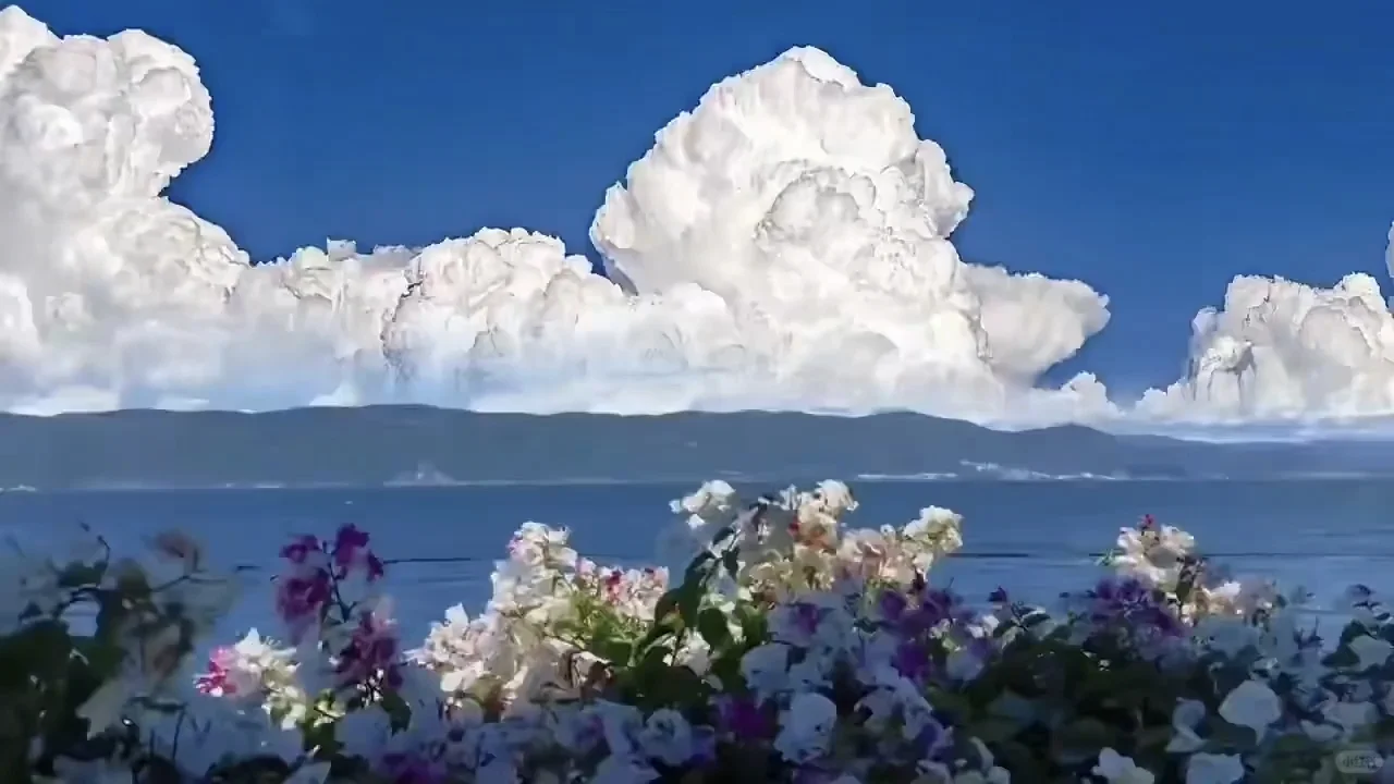 《动态背景图》超级美！！