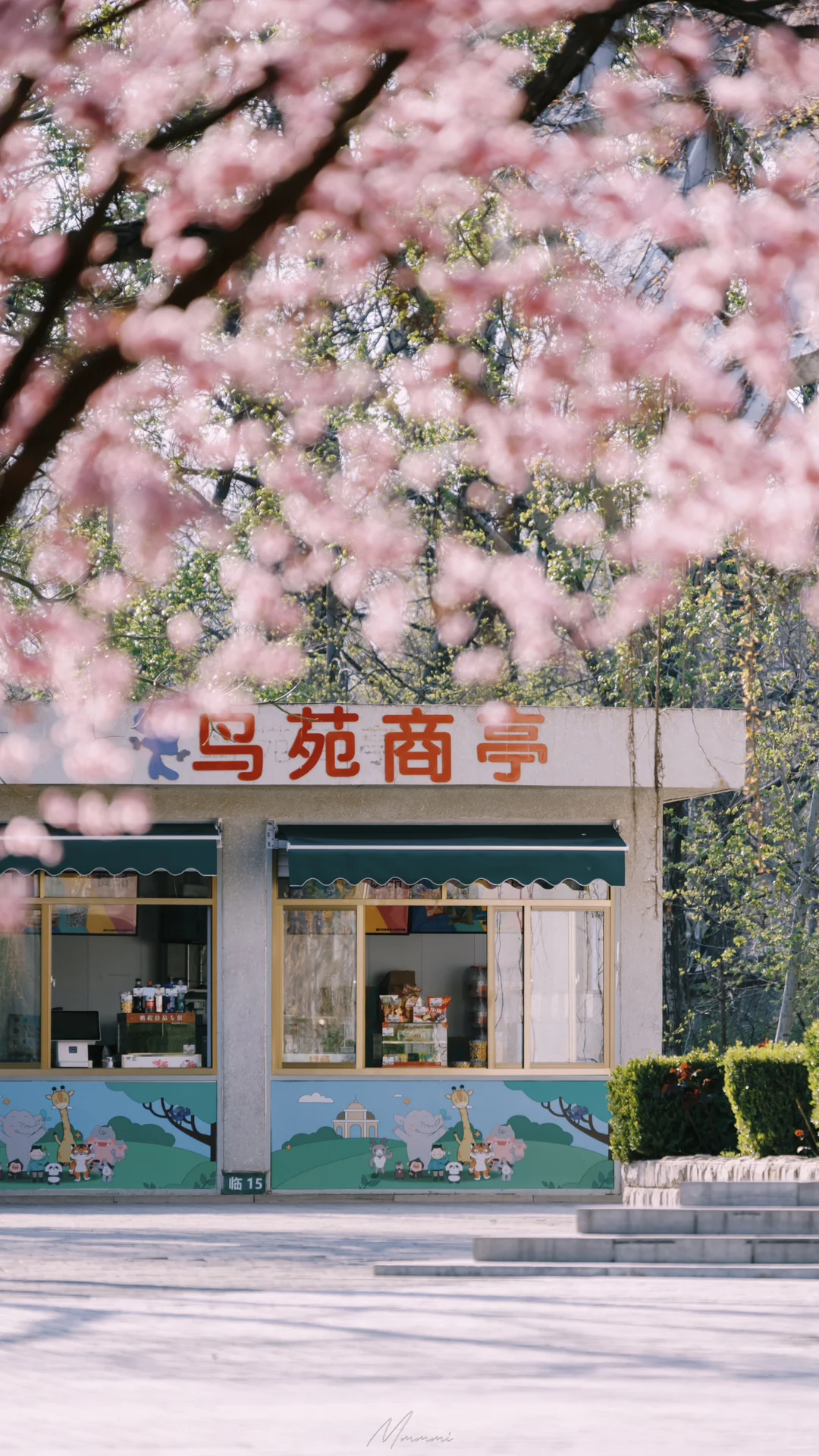 终于等到竖版全屏图🐇