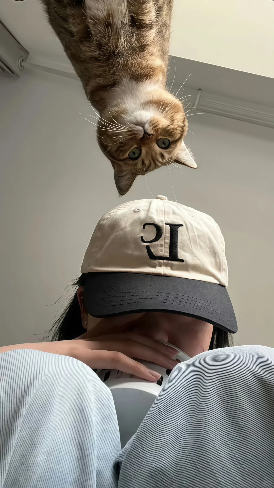 锁屏壁纸🧊