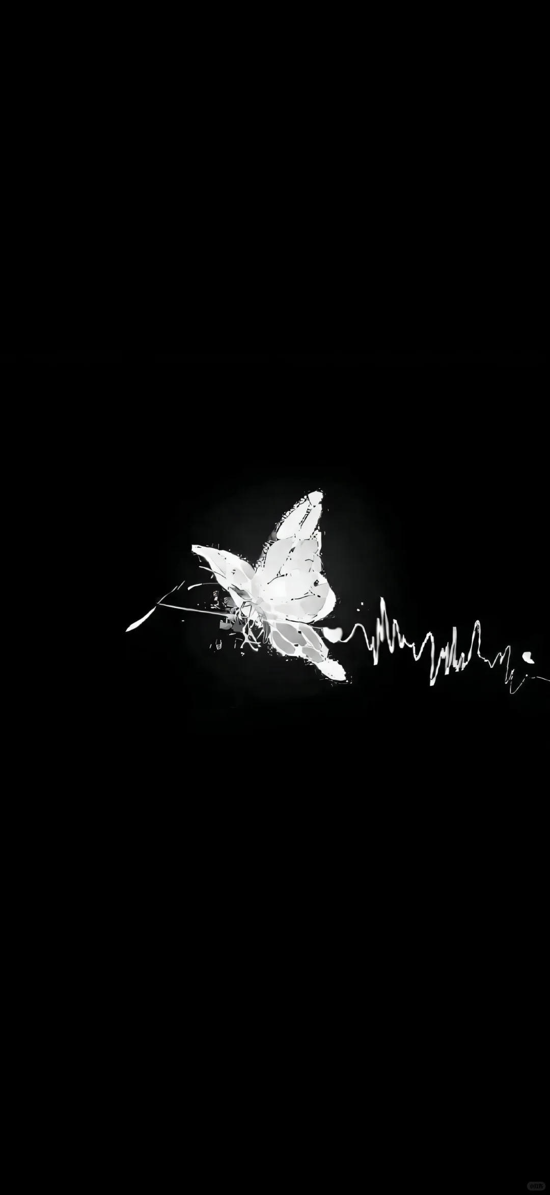 2025.6.17《深色系》