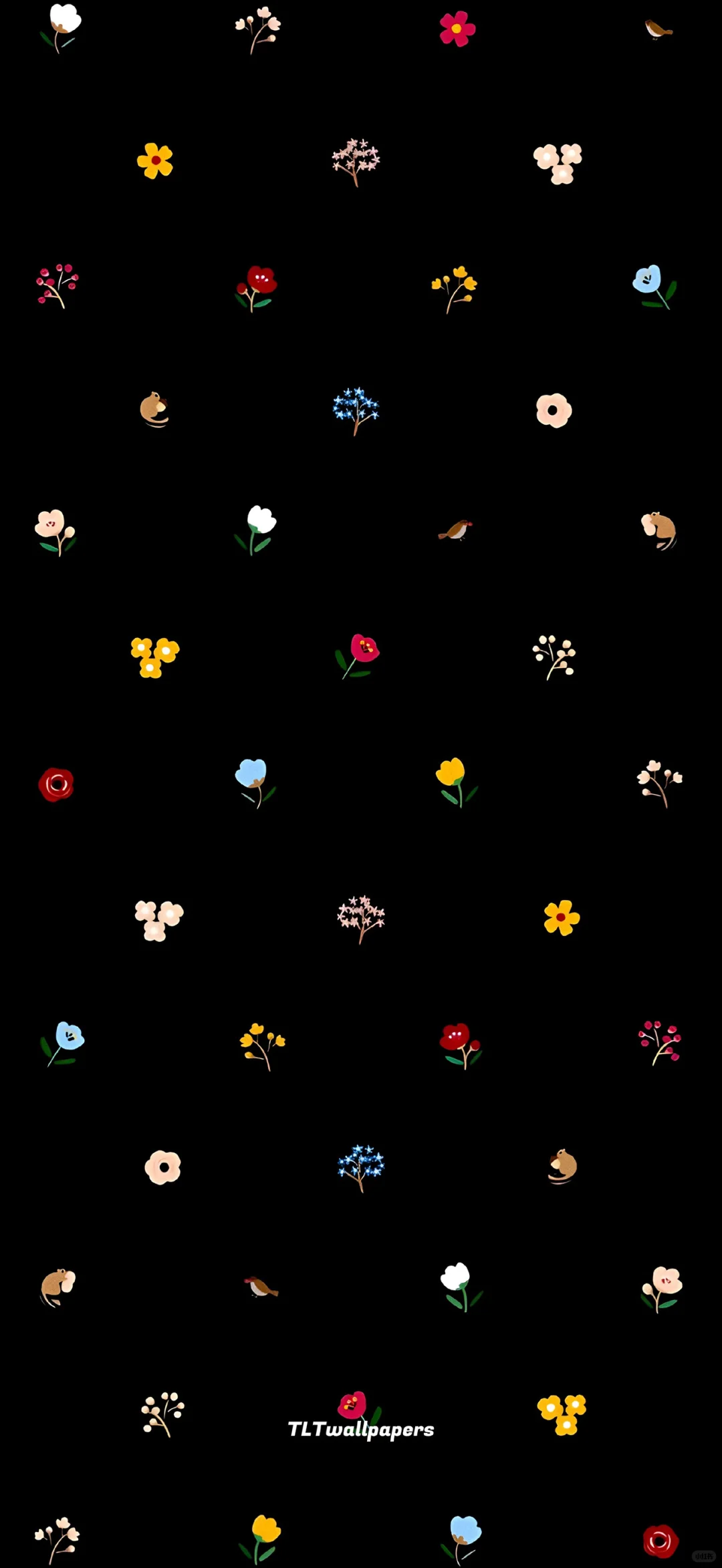 2025.6.17《深色系》