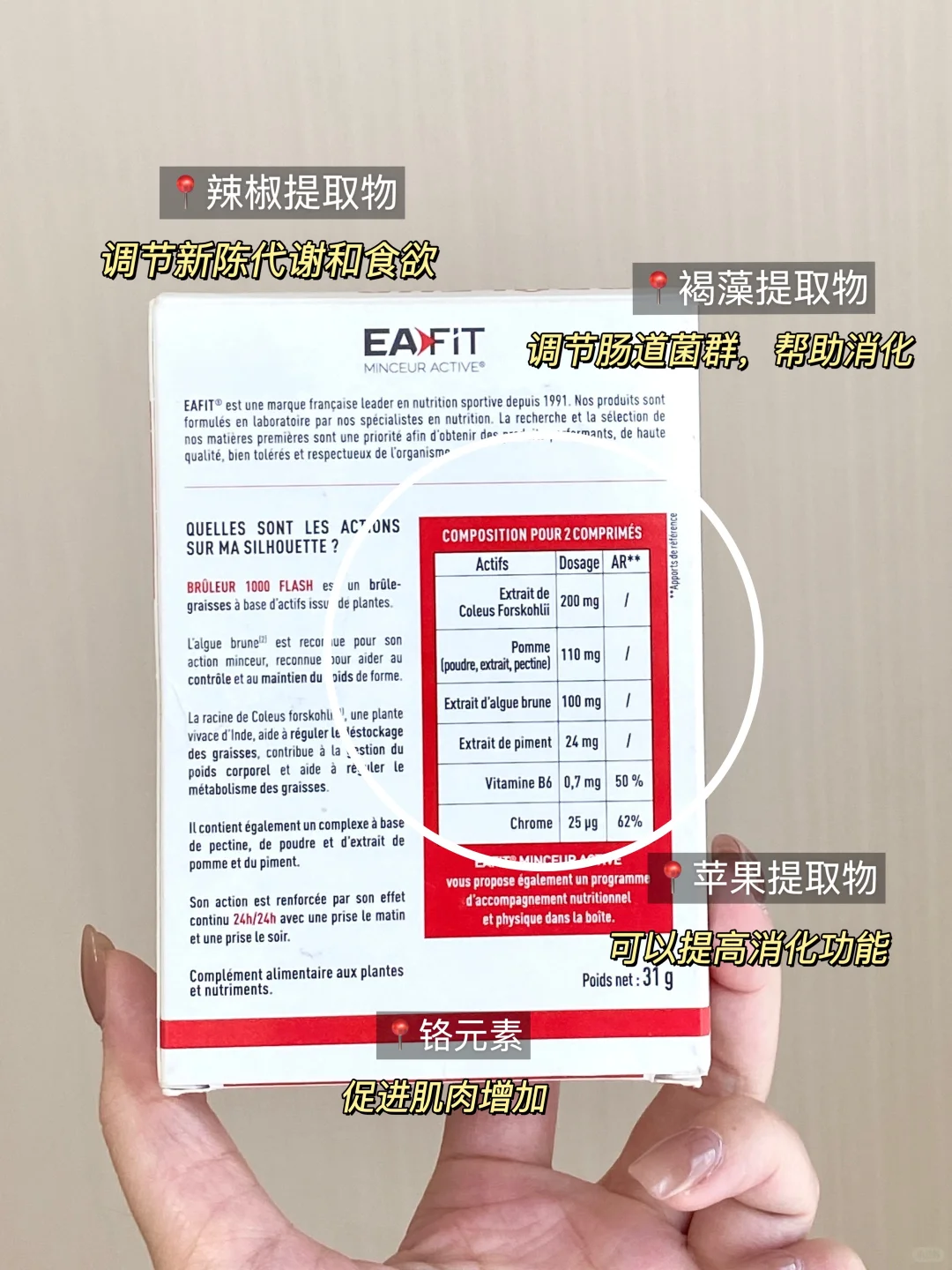 如何用手估算食物热量❓一篇看懂✅