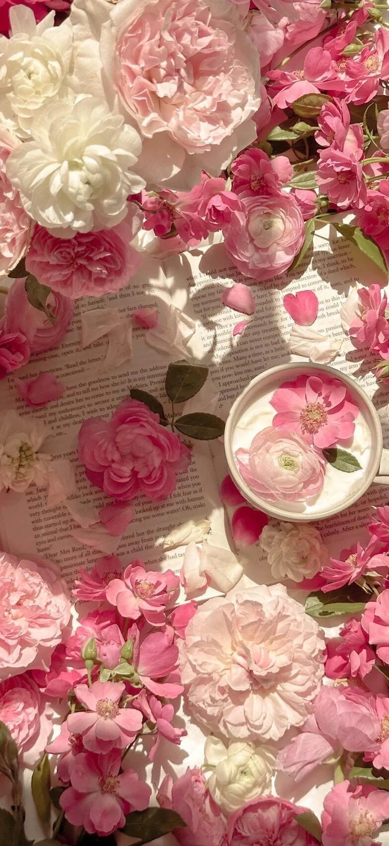 谁会拒绝樱花树呢？！🌸