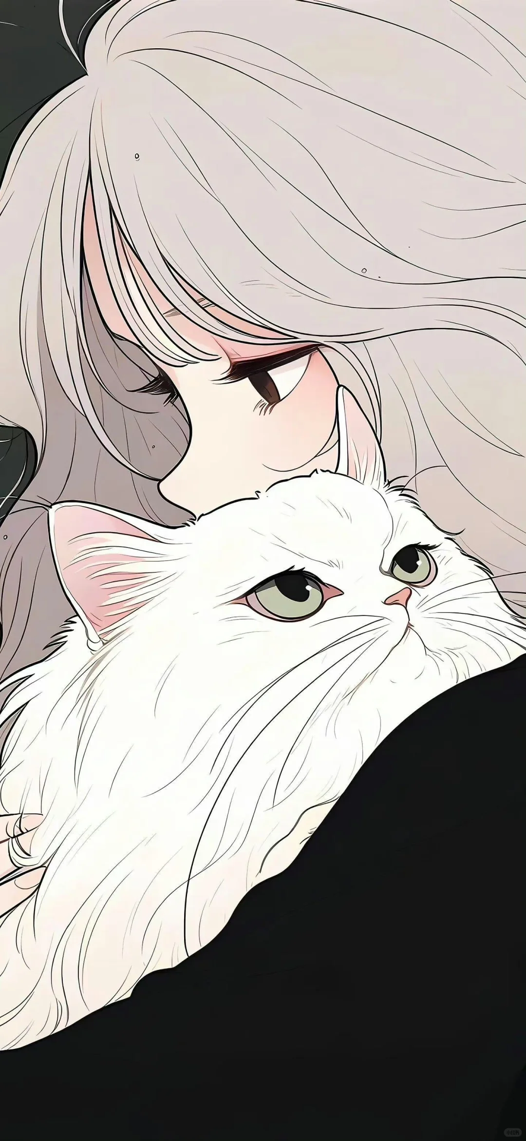 猫咪与女孩儿【全屏壁纸】