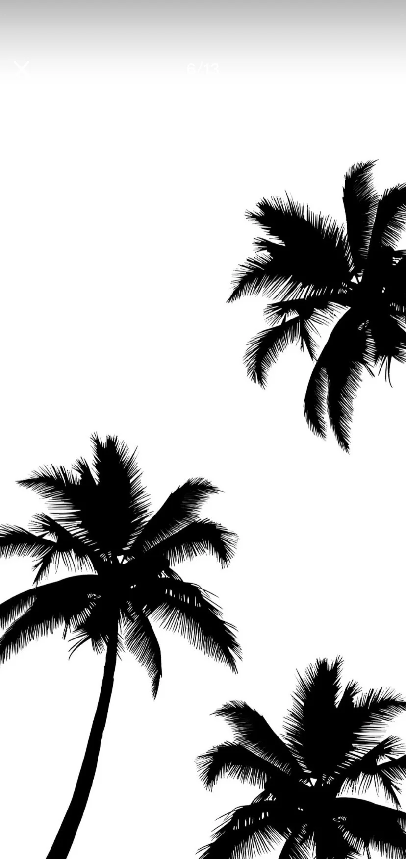 𝐒𝐇𝐀𝐑𝐄 | 极简风壁纸