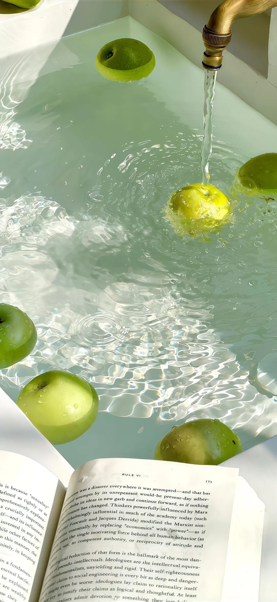 Share🍋‍🟩ins风壁纸
