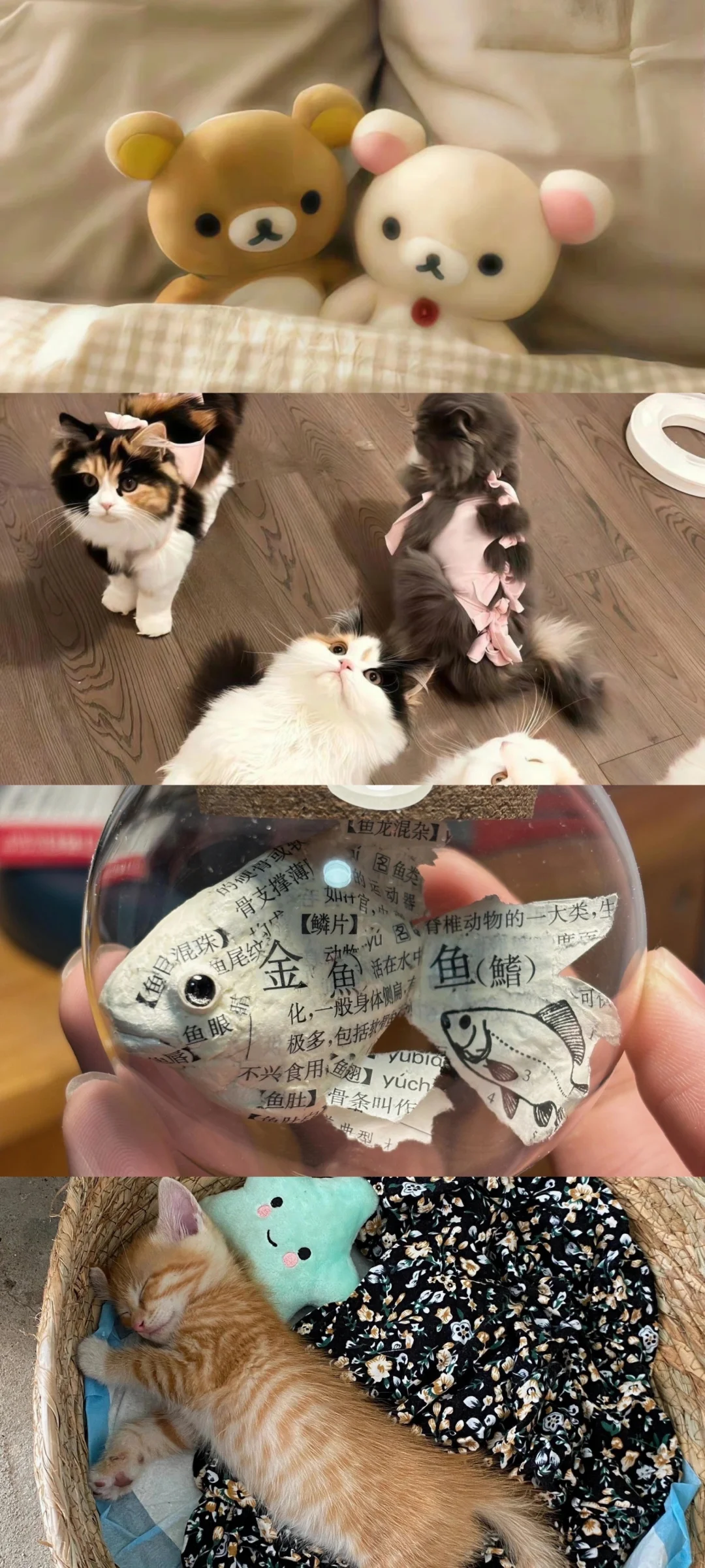 𝑺𝒉𝒂𝒓𝒆｜可可爱爱拼接壁纸🧩