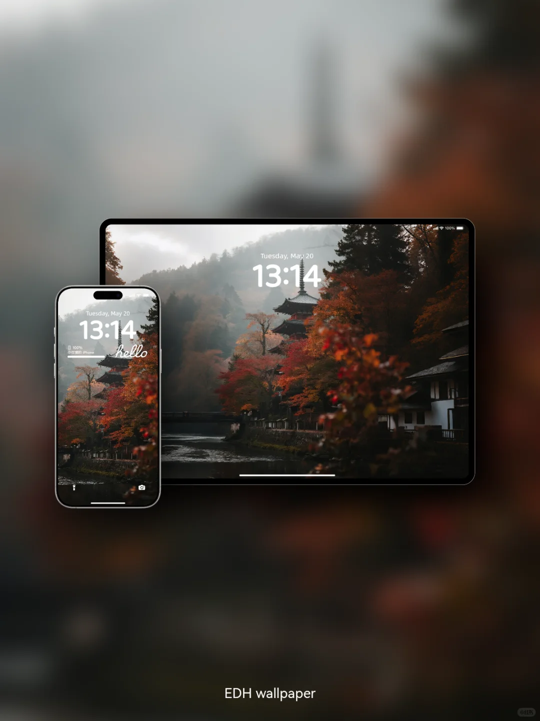 🍂静｜京都岚山｜W021