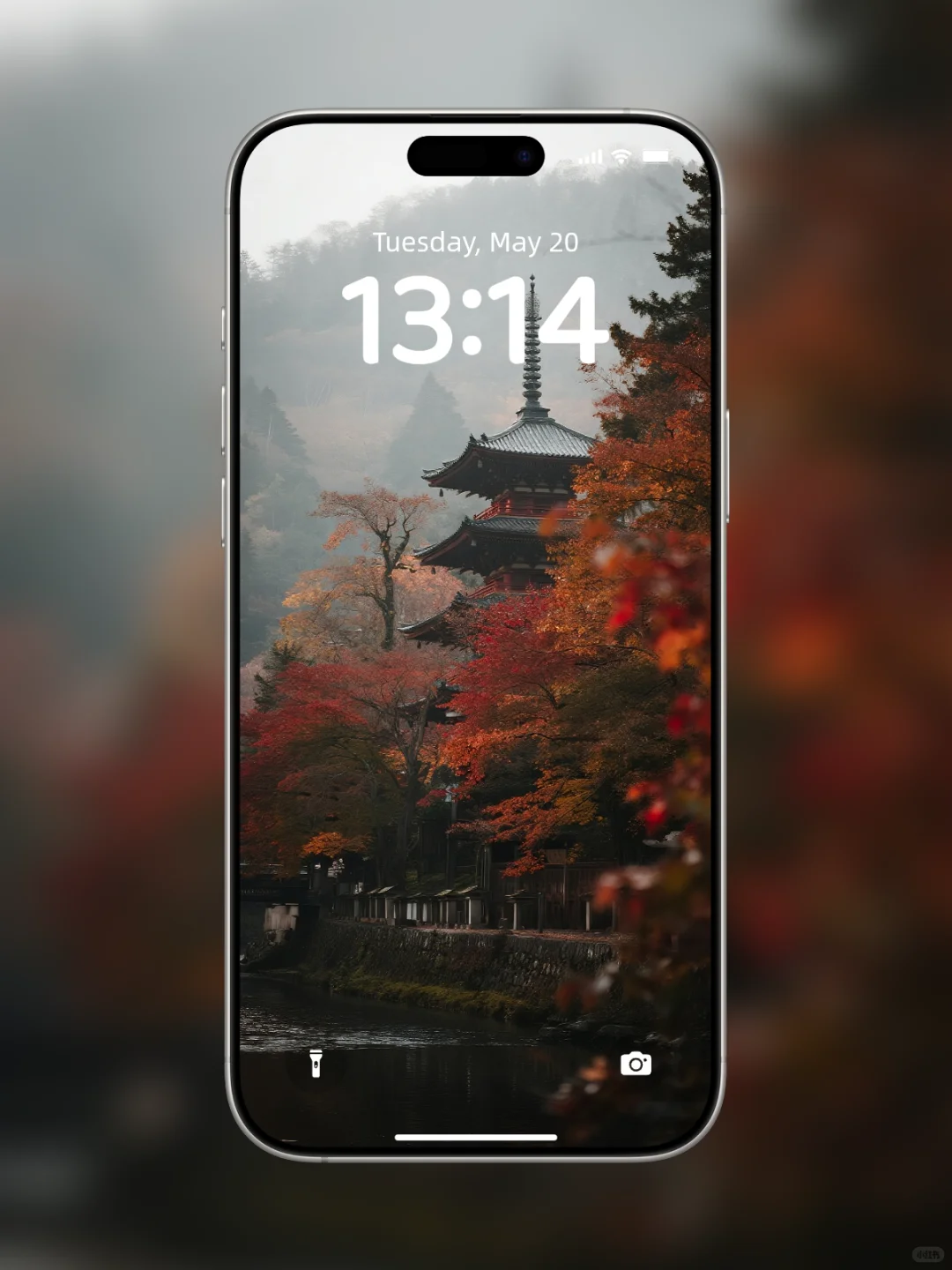 🍂静｜京都岚山｜W021