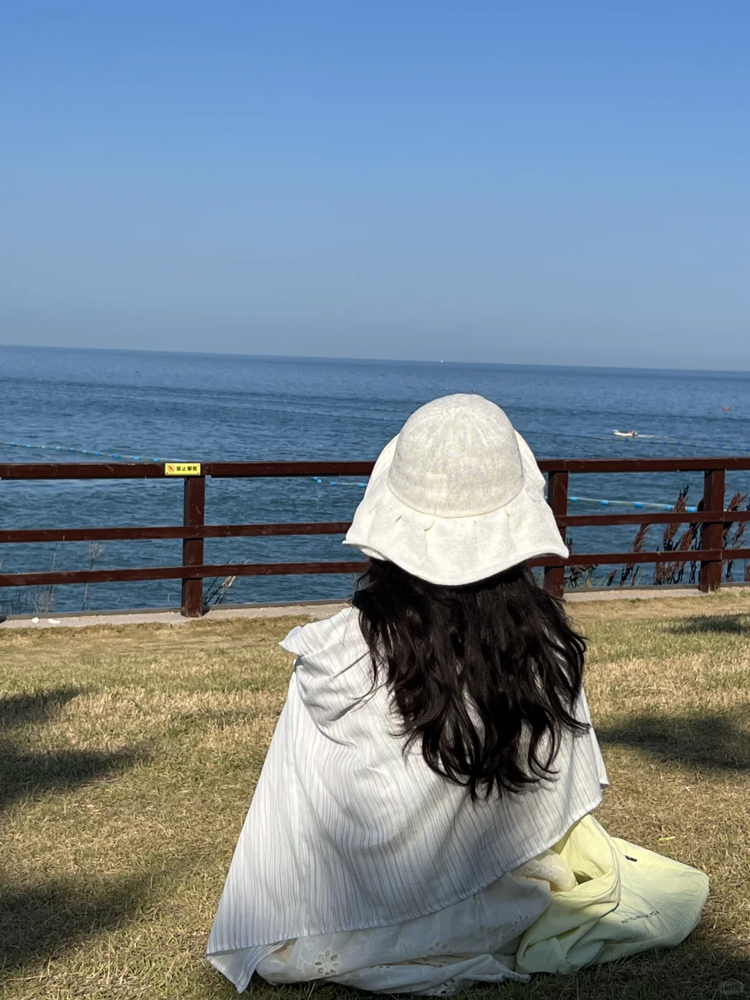在青岛，拍到了超多人生live图