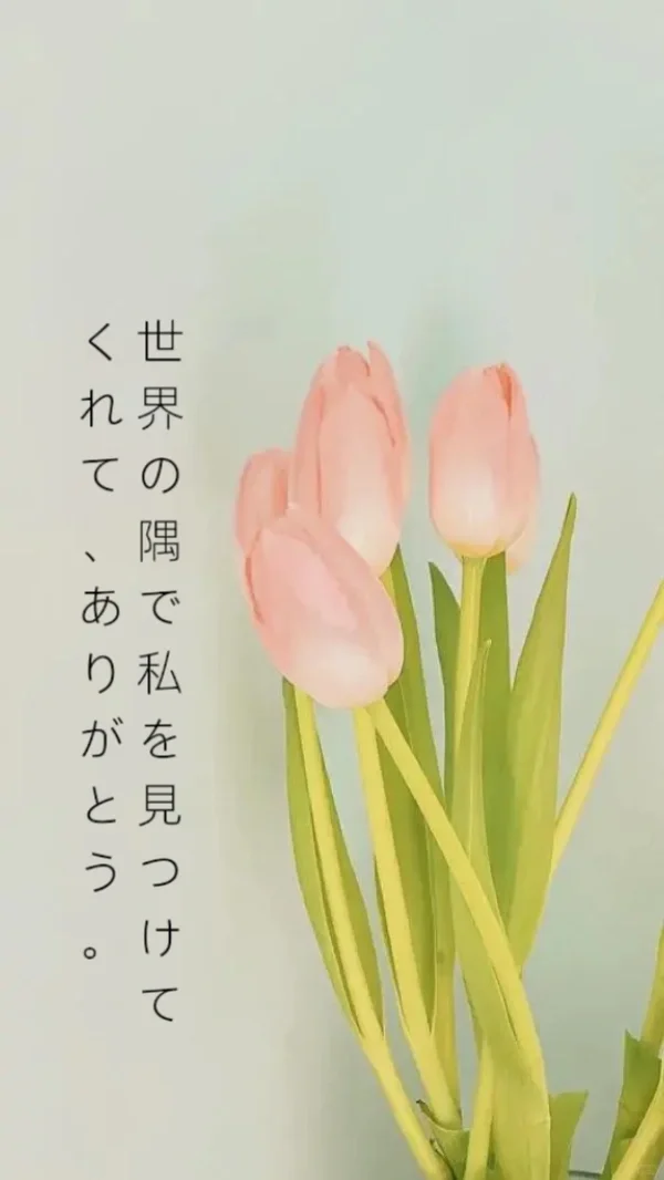 日语学习者必备壁纸！看你喜欢哪一个
