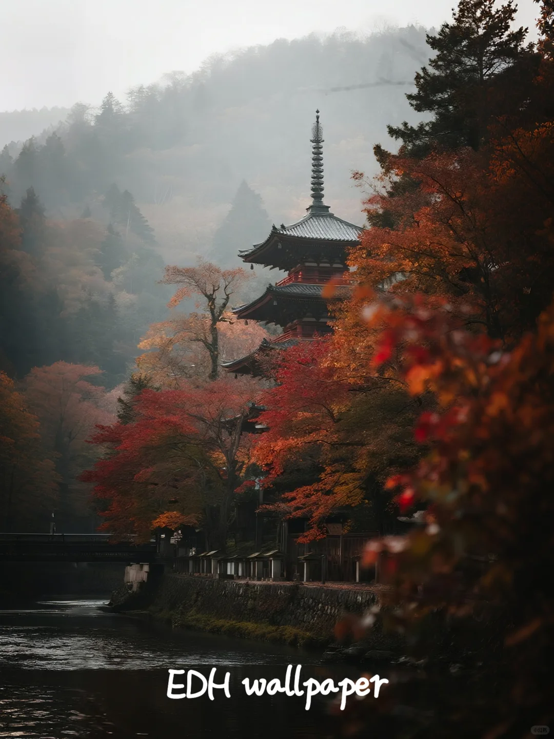 🍂静｜京都岚山｜W021