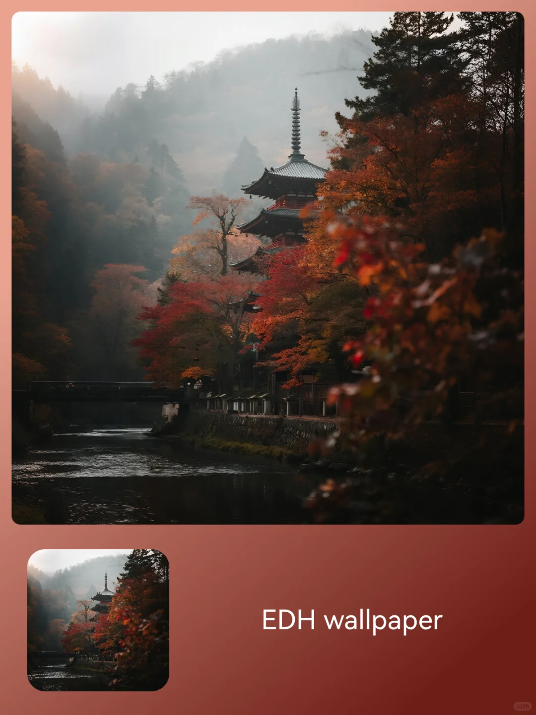 🍂静｜京都岚山｜W021