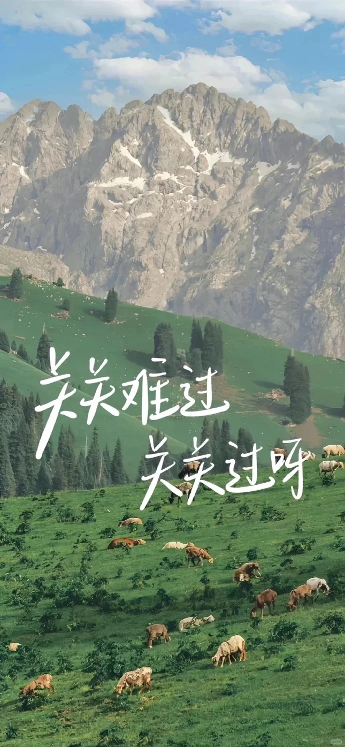 新壁纸来了！😍