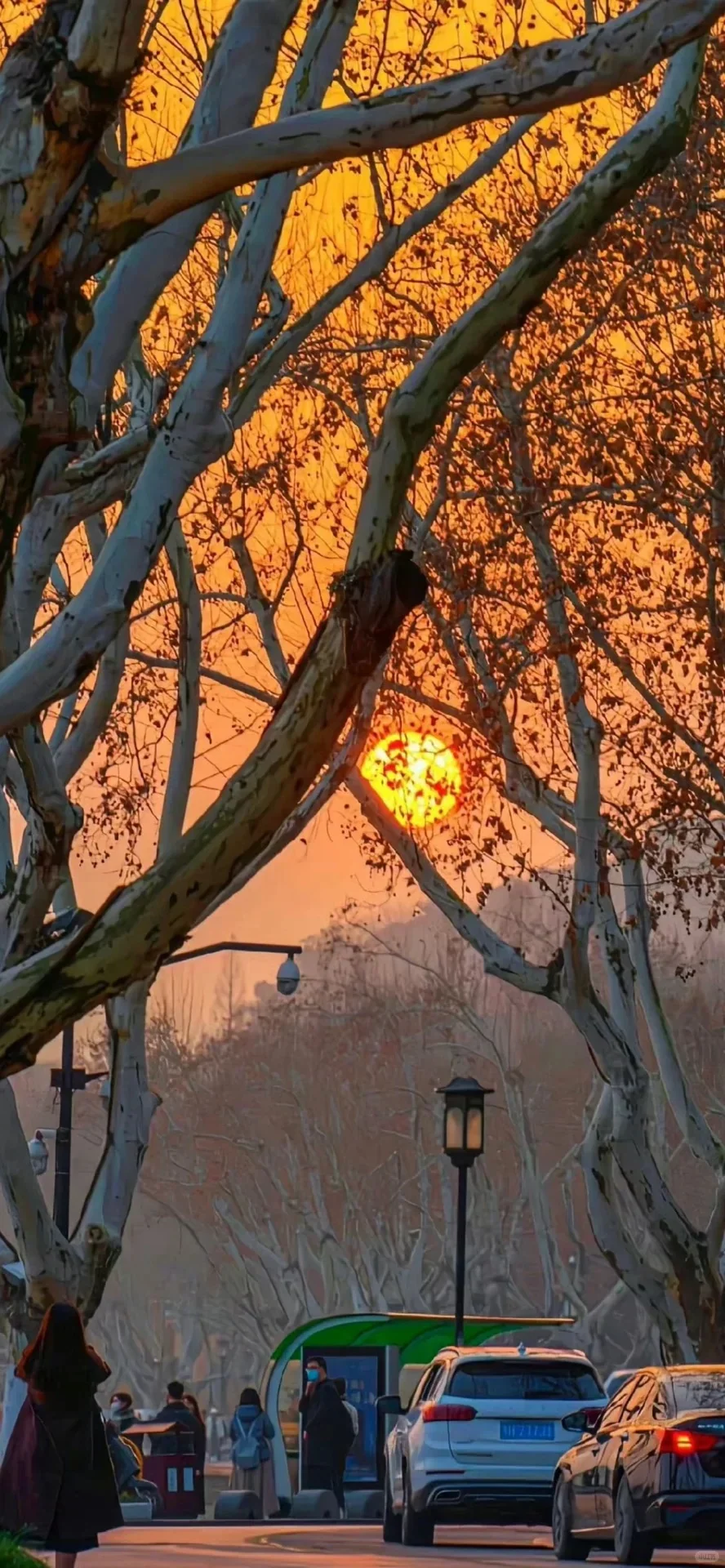 全屏超美氛围感日落壁纸🌇