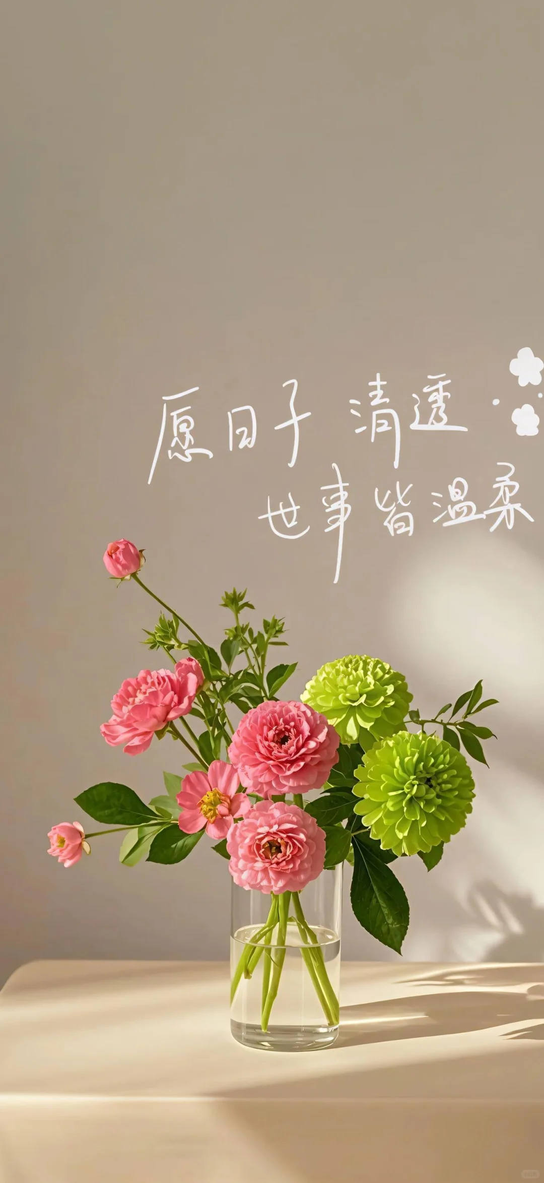 最好的一天是今天❤️