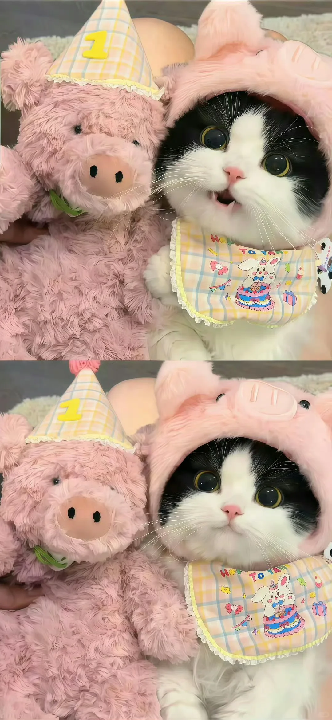 🦄壁纸| ⌯'Ⱉ'⌯你是世界上最棒的女孩🌟