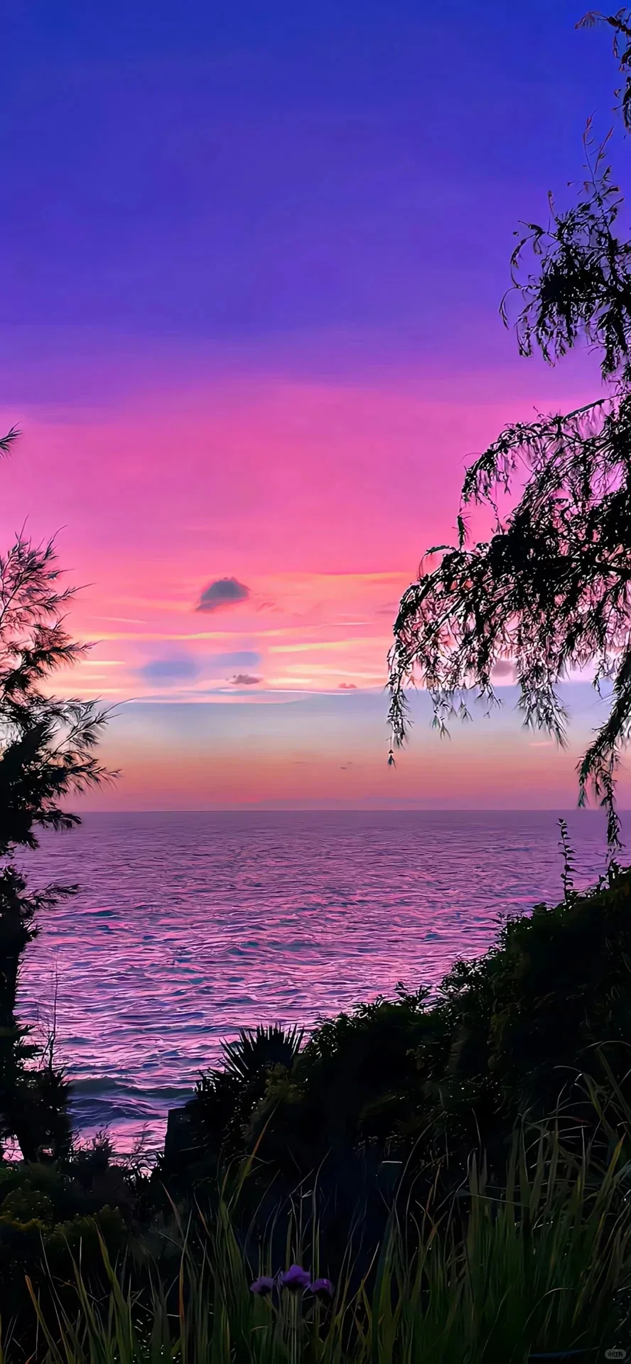 全屏超美氛围感日落壁纸🌇