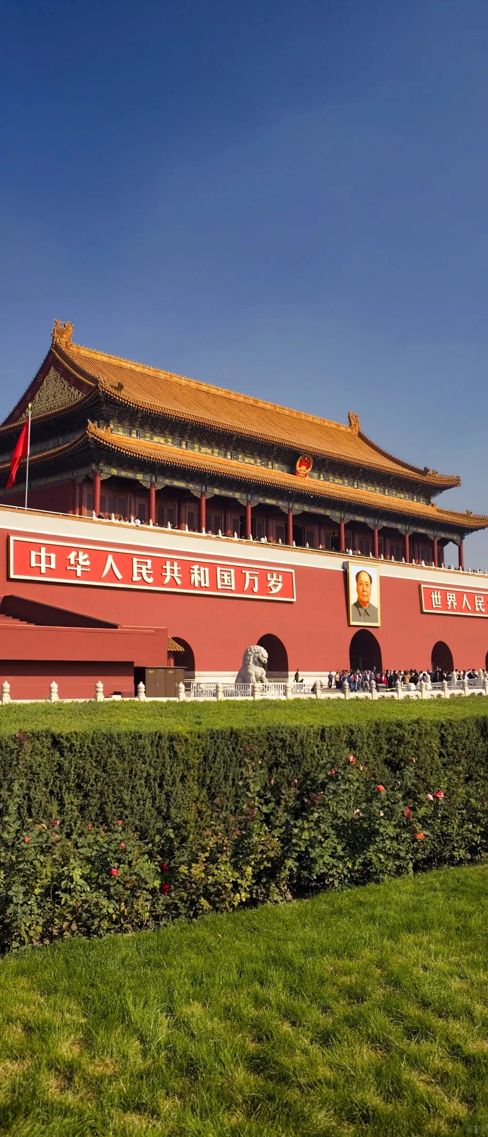 心中有党强国有我 | 壁纸 | 共12张