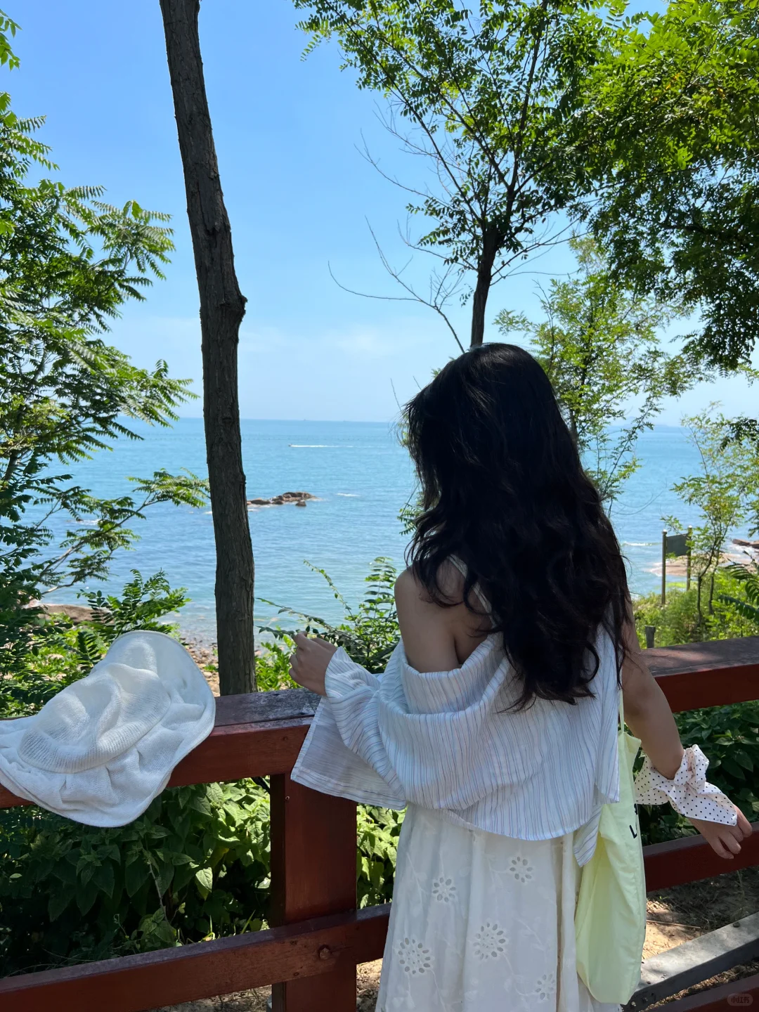 在青岛，拍到了超多人生live图
