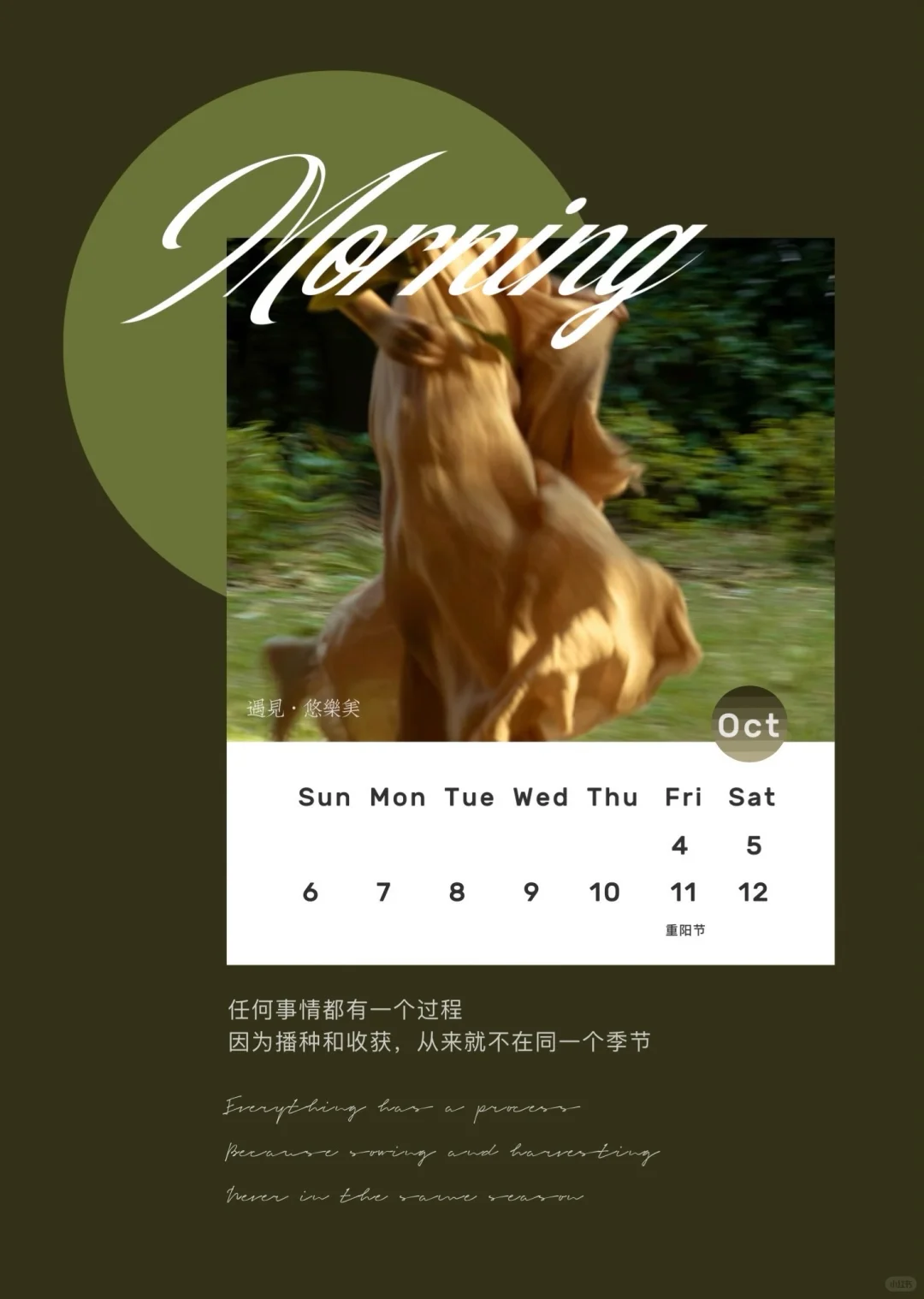 高朋友圈吸睛又吸金的日签图怎么做？
