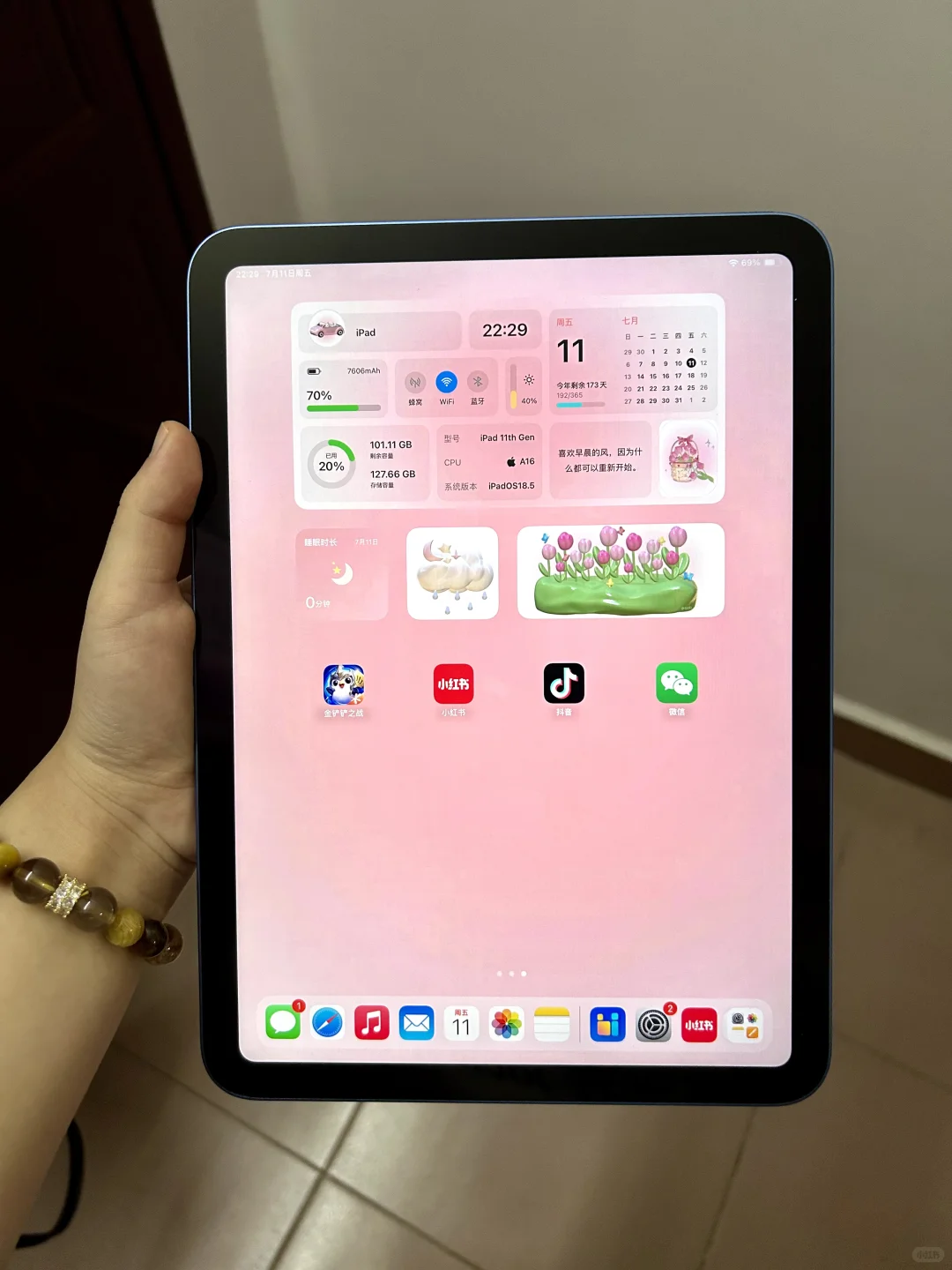 当我有了iPad就会