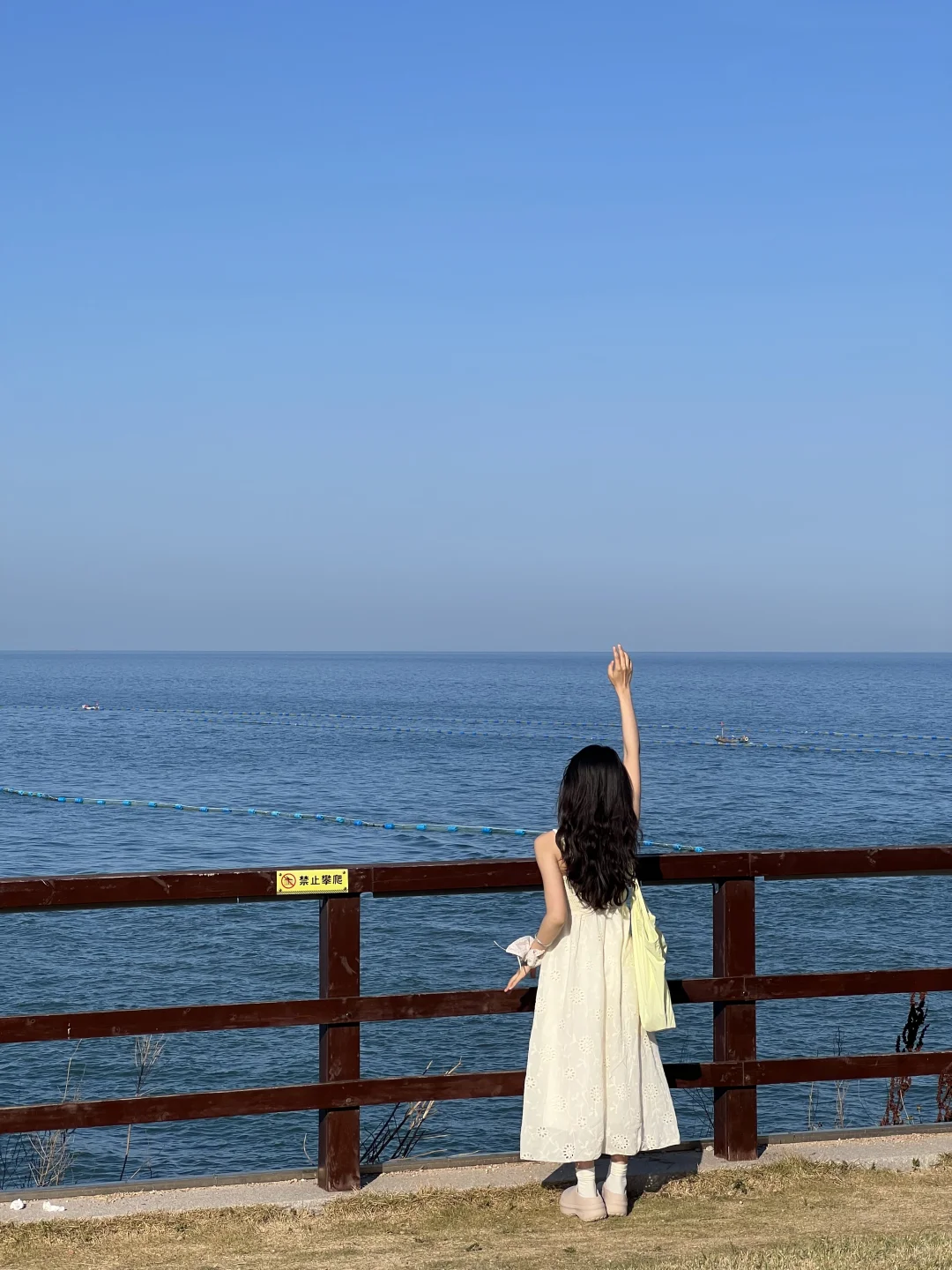 在青岛，拍到了超多人生live图