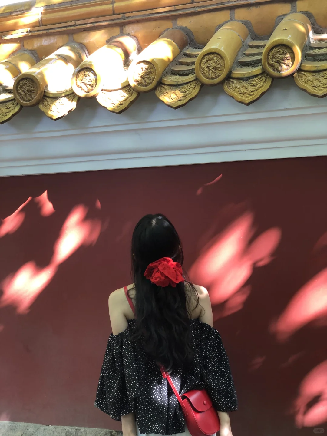 在青岛，拍到了超多人生live图