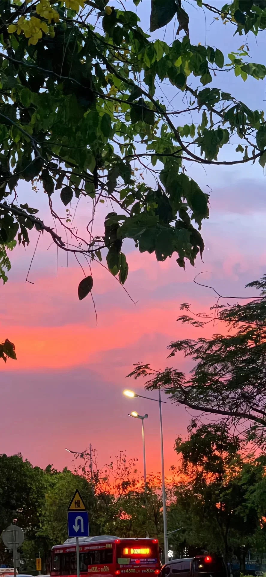 全屏超美氛围感日落壁纸🌇