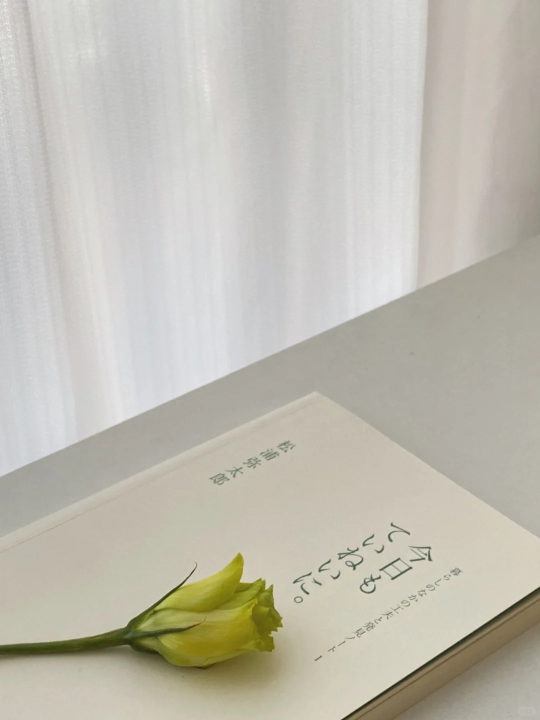 「日日是好日」干净、明朗的生活