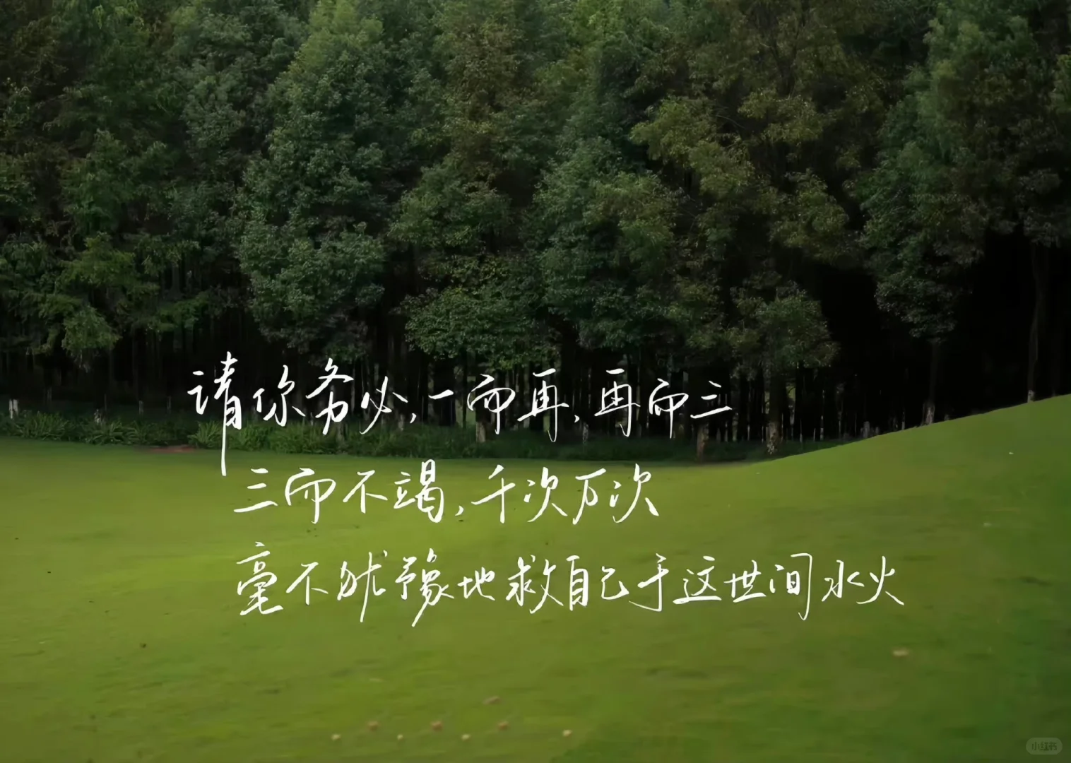 超好看的风景文字治愈系iPad电脑壁纸
