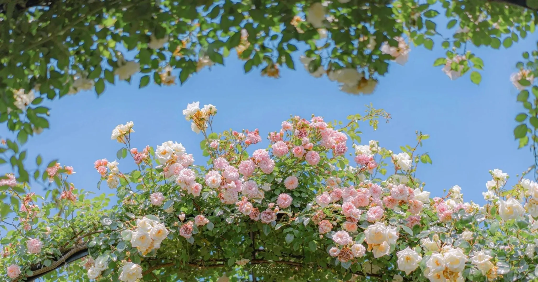 iOS26平板3D壁纸太好看了吧