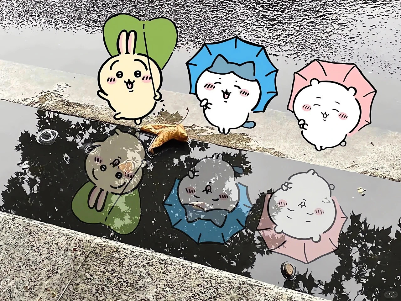 SHARE｜iPad壁纸