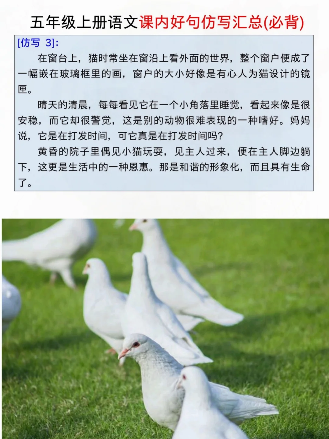 存下吧，五上语文仿写句子➕小练笔‼️