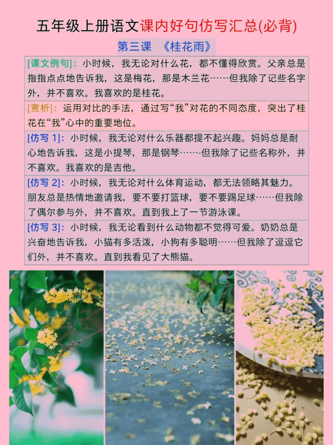五上语文最难《课后小练笔》全部练完躺平❗