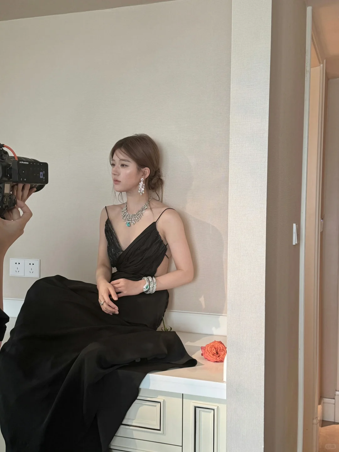 美貌与矜贵并存的玫瑰