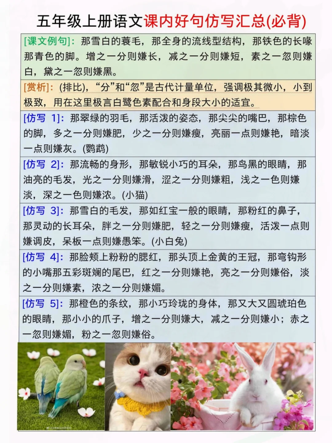 存下吧，五上语文仿写句子➕小练笔‼️