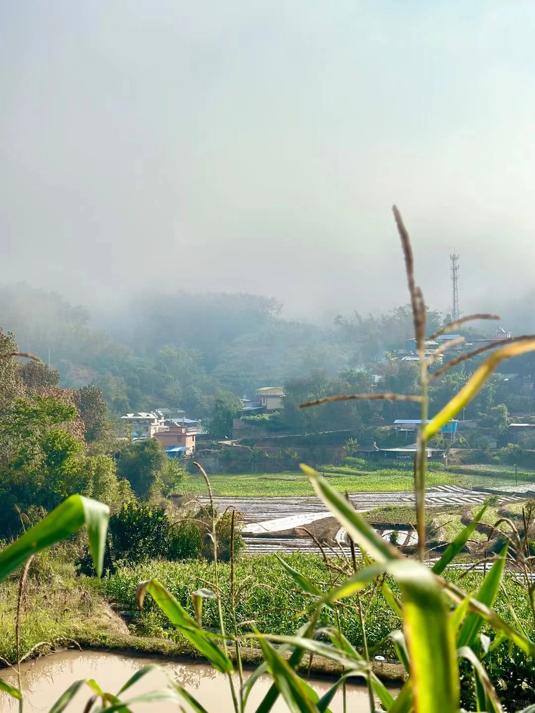 38岁姐姐，简单干净的高级感！