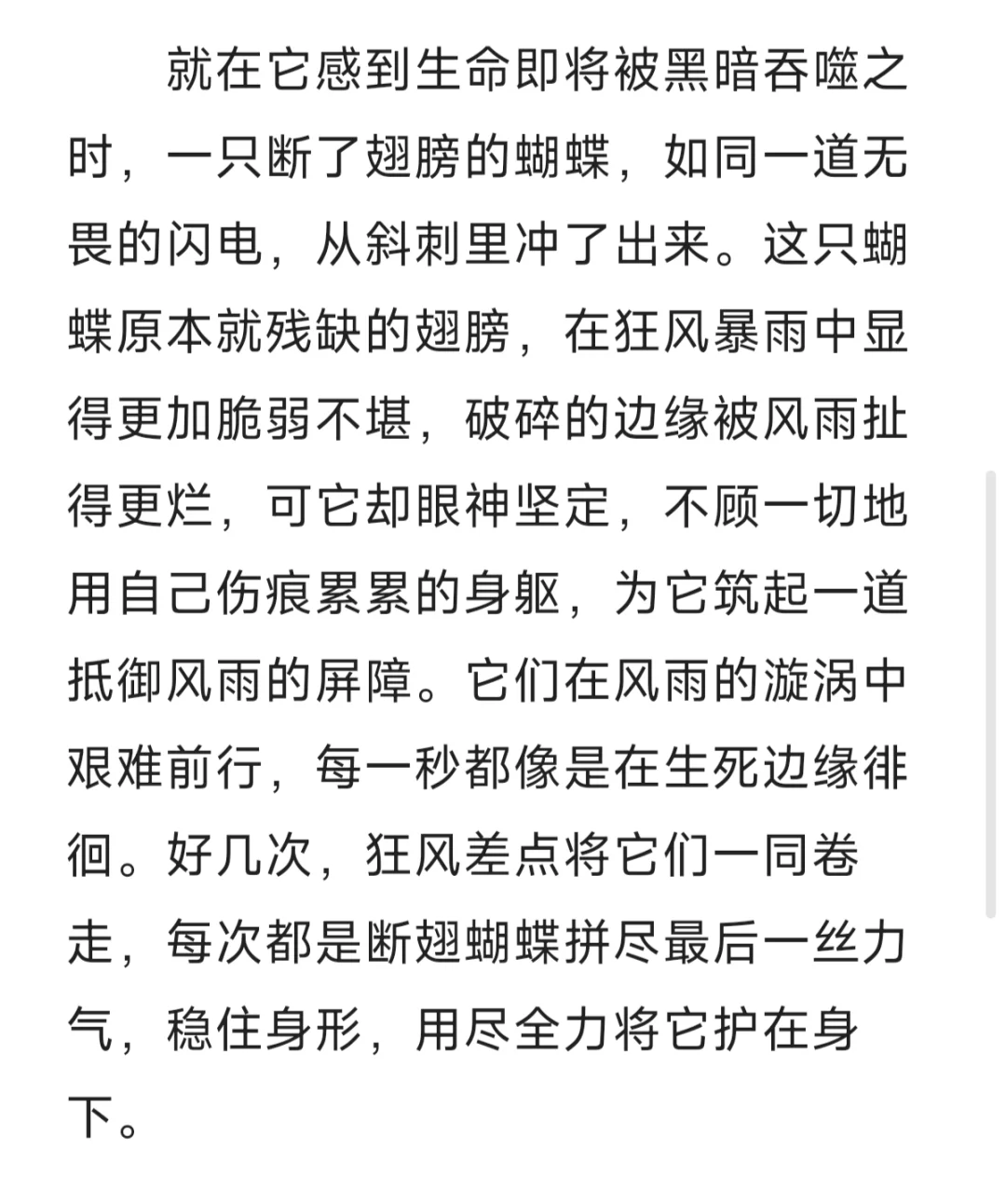 晚安小故事Day33